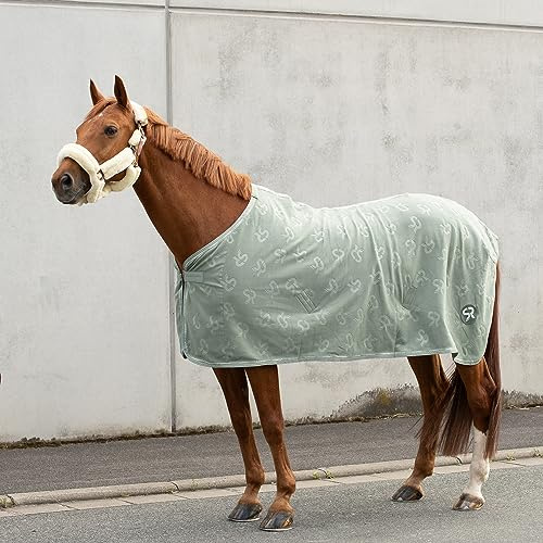 SUNRIDE Abschwitzdecke “Wellington” für Pferde aus weichem Fleece (280g/m²) - schnelltrocknend und leicht (125 cm, Olive)