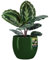 KOTARBAU® Pot De Fleurs Rond Vert De ⌀ 26 cm | Pot en Céramique Émaillée pour Fleurs Et Herbes | Cache-Fleurs en Céramique Émaillée | Cache Fleurs en Céramique | Pot De Fleurs avec Finition Brillante