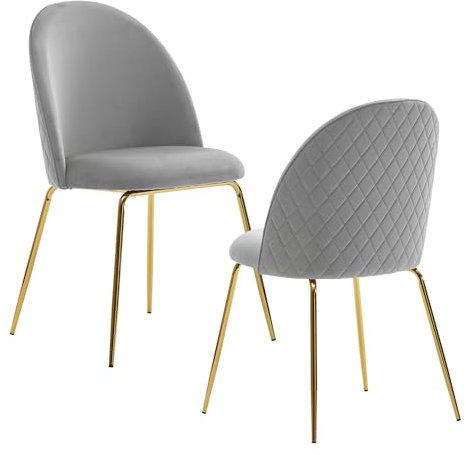 FineBuy Lot de 2 chaises de salle à manger, design scandinave, rembourrées en velours, avec pieds dorés, pour cuisine, cuisine, avec revêtement en velours
