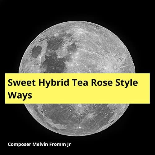 Sweet Hybrid Tea Rose Style Ways