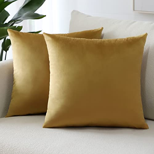 Sungeek 2er Set Samt Kissenbezüge, Dekorativ Zierkissenbezüge Weich Kissenbezug Dekokissen Sofakissen Couchkissen Deko Bezug Kissenhülle für Sofa Schlafzimmer Wohnzimmer (50x50 cm, Gold)