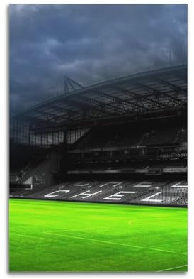 WGJYMX Sportliches düsteres Wetterstadion, realistische Fotografie, dekoratives Gemälde, Leinwand, Wandposter und moderne Familienschlafzimmer-Dekoration, 30 x 45 cm