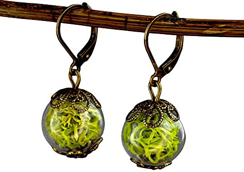 MadamLili - Echtes Moos Ohrringe Set - Bronze Schmuck Vintage Stil - Naturschmuck Waldmoos Islandmoos Grün Ohrhänger - Handgefertigt - Exklusive Schmuckbox