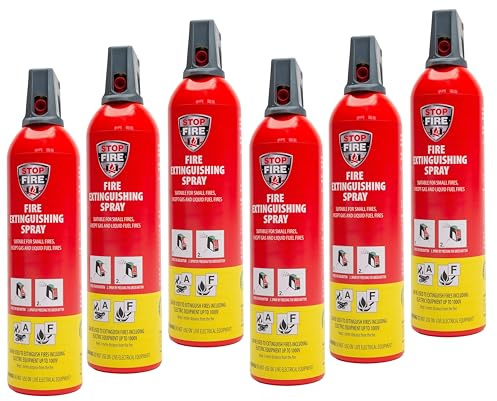 REINOLDMAX IWH Spray extincteur pour voiture 750 ml 6 x 750 ml