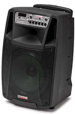 AUDIODESIGN PRO M2 12W/L cassa portatile, diffusore portatile con woofer da 320 mm e 2 microfoni wireless
