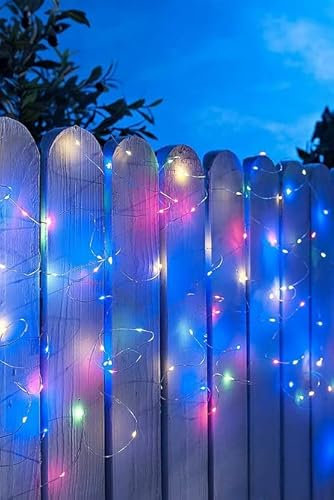 Solarize ® 100/200/300 LED Copper Wire Solar Rice String Light, Wrap Around Trees, Plants, Mirrors Home & Garden Decoration (300 LED Copper Wire Solar, Multi Coloured)
