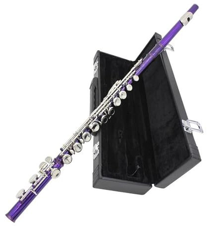 Flauto Traverso Flauto Viola A 16 Fori Con Accordatura In Do E Chiave In Mi Strumento A Fiato In Cupronichel Argentato Nichelato Con Accessori