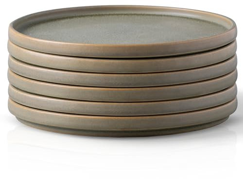 AmorArc Set di 6 piatti piani in gres porcellanato, 26,9 cm, reattivi opachi, set di piatti moderni per cucina, forno a microonde, lavabili in lavastoviglie