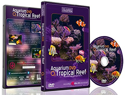 Aquarium DVD | TROPISCHES RIFF mit 4K ULTRA HD Download mit Natürlichen Geräuschen und Entspannender Musik