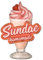 GLOBLELAND Sommer Eisbecher Unregelmäßig Retro Blechschild Lebensmittel Lustige Schilder Mit Sprüchen Vintage Metallschild Für Café Bar Home Retro Nostalgie Premium