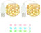 2 Stück LED Lichterkette, 40LED 4M / 14Ft USB lichterkette außen/innen Wasserdichte für Schlafzimmer, Hof, Hochzeit, Weihnachten, DIY etc (Warmweiß)