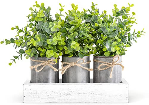 Dahey Macetas decorativas de metal galvanizado para decoración de centro de mesa, bandeja de madera con planta artificial, 3 cubos con eucalipto, decoración rústica del hogar para mesa de café,