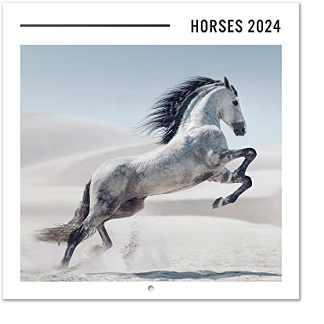 Wall Calendar 2024 12 x 12 FSC® Plastic Free - Starts Week On Sunday | Square Wall Calendar 2024 | Family Planner Calendar 2024 | 2024 Calendar (Horses 2024)