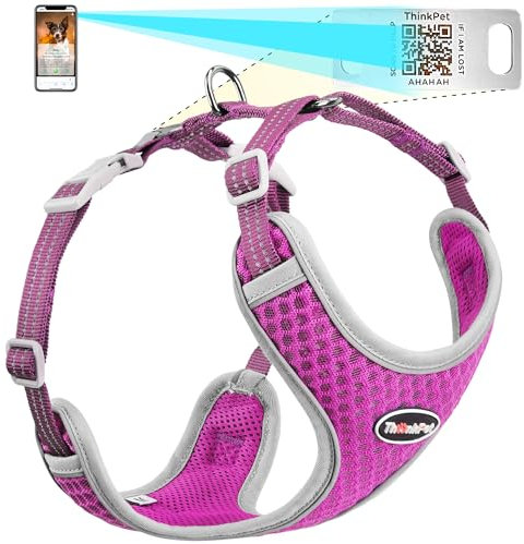 ThinkPet Hundegeschirr, reflektierend, atmungsaktiv, weiches Air-Mesh mit QR-Code, Hundemarke, Erstickungsfrei, für Welpen, kleine, mittelgroße Hunde und Katzen, Größe M, Violett