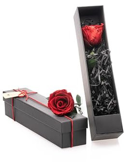 Canli4Y Infinity Rose Rot am Stiel in Rosenbox für Frauen Ewige Echte Rosen in Geschenkbox Konservierte Blume zum Valentinstag
