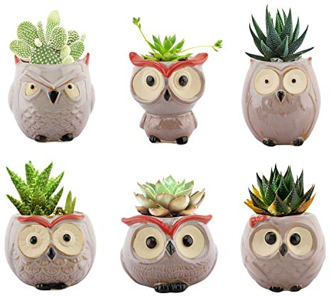 Lewondr 6PZS Macetas Decorativas para Flores y Plantas, 6.4 cm Alta Juego de Tiestos Pequeños de Forma Búho de Cerámica con Drenaje para Suculentas Cactus para Mesa Jardín Oficina, Kit 2