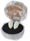 Beito 1Pairs Vampir-Zähne Individuelle Vampirzähne Gefälschte Gebiß Für Cosplay Partei Props Halloween-Party-Fangs Bevorzugungen Party Favors Verkleiden Zubehör (13 Mm)
