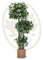 Maia Shop Plantas Artificiales Decorativas - Ficus Artificial 175 cm con Tronco Natural, Planta Artificial Grande, Decoración Hogar, Arbol Artificial (3 Copas)