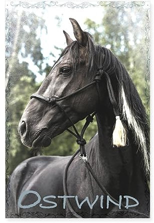 Spreadshirt Ostwind Aufbruch Nach Ora Schwarzer Hengst Poster 40x60 cm, One size, Weiß