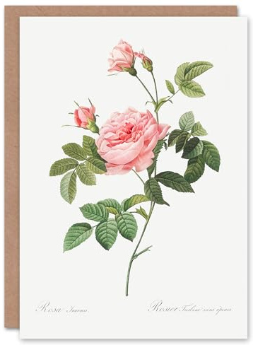 Artery8 Pierre-Joseph Redouté Art Card Boursault Rose Vintage Floral