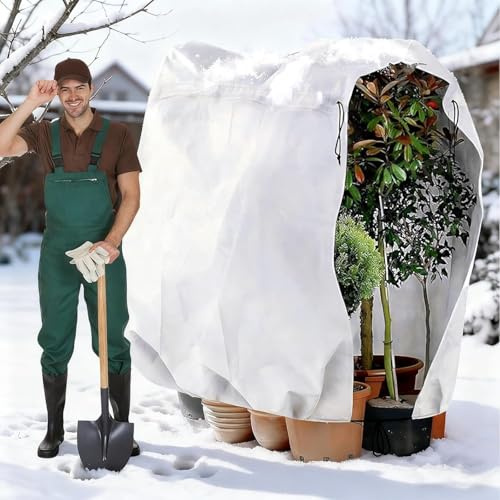 INSANYJ Winterschutz Pflanzen AußEn, 1 Stück 200x240cm 70g/m² Pflanzenschutz Winter mit Zugband, Überwinterungszelt für Pflanzen Groß Palmen, Olivenbaum, Reißfest, Wiederverwendbar