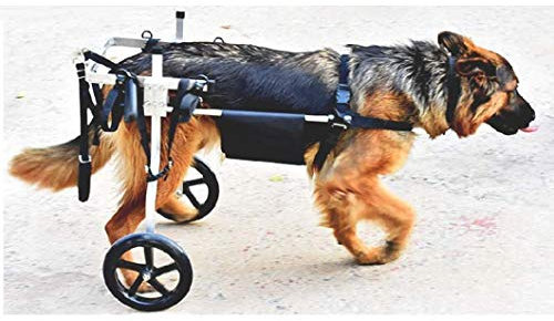 SYTH Hunderollstuhl Wheels Dog Wheelchair Für mittelgroße Hunde,Hundehund Rollstuhl Hinterbein Rehabilitation für Behinderten, 2 Räde 4 Größe Wählen Sie,15-60 kg