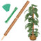 Augshy Gesamtlänge 109 cm Moosstangen – 2 Stück 61 cm Pflanzenstützstäbe für Zimmerpflanzen Kokosfaser Totemstange für Creeper Monstera Pflanzen Klettern.