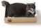 PETWERK® Katzenkratzpappe PANDOR Box mit 5 Kratzbrettern - Doppelseitige Kratzpappe für Katzen - Kratzbrett Katze zur Krallenpflege - Kratzbox - Kratz Karton - 28L x 10,5B x 44H cm