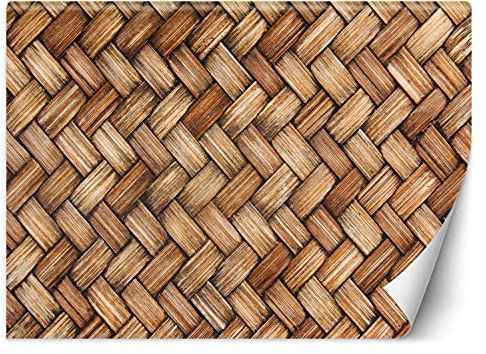Feeby Papier Peint Intisse Ethnique Osier Tresse 400x280 cm marron Déco Murale Trompe L' Oeil Tapisserie Moderne Salon Chambrea' Coucherr Salle De Bain Cuisine Motif Structure Imitation