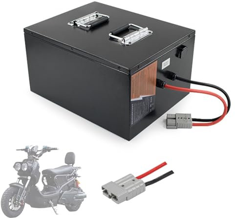 WILLQ 60V 40Ah 60Ah 80Ah 100Ah Lithium-Eisenphosphat-Akku Hochleistungs-60-Volt-Elektrostaplerbatterie Photovoltaik-Energiespeicher-Lithiumbatterie,60v80ah