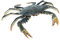 YARNOW 1 Pc Portunid Solide décor Sable Cage Crabe coquilles Decoration Marine modèle d'animal Marin réaliste Artisanat d'aquarium modèle Animalier Figurine d'animal Marin Vif Plastique