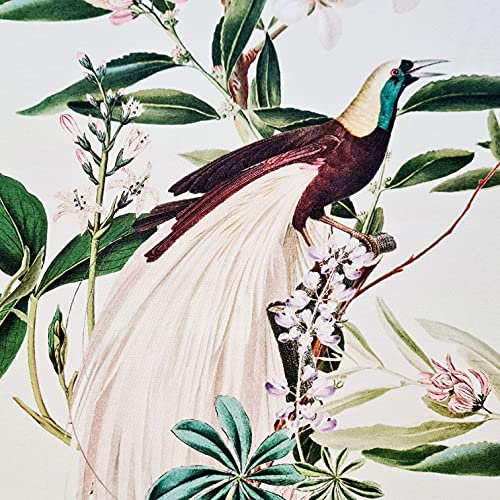 Stoff Meterware Baumwolle Satin creme Paradiesvogel Dschungel Vogel Dekostoff Baumwollsatin Blüten Blätter Vorhangstoff