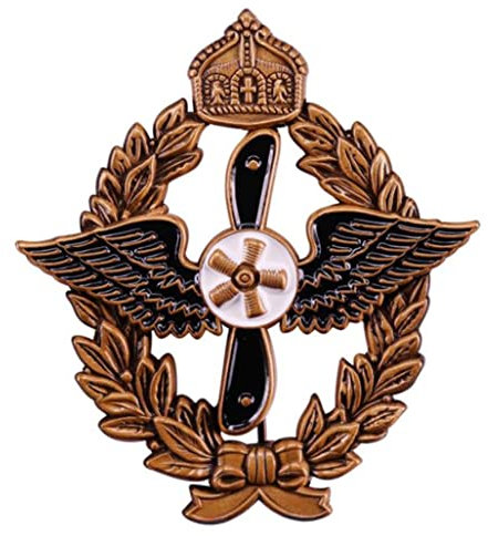 Deutsche schwarze Flügel Propeller Emaille Pins WW2 Militärbroschen Metall Punk Medaille Adler Abzeichen Pin Deutsche Militärbroschen Metall Emaille Pins