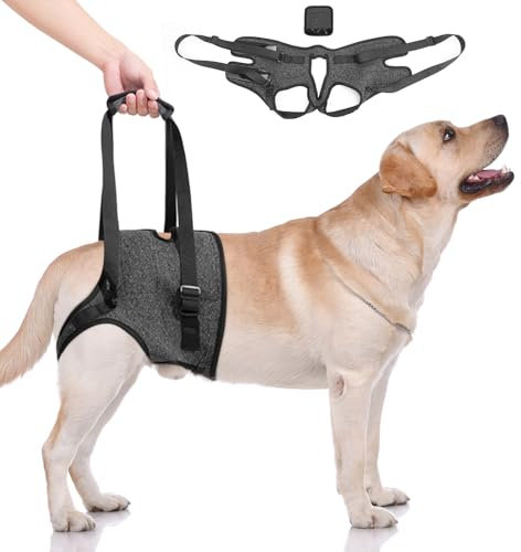 LPZMPZ Tragehilfe Hund, Tragegurt Hund für Hinterbeine, Tragegeschirr Hundeschlinge mit Handgriff, Hebegeschirr für Hunde, Hundehebegeschirr für Behinderte, Verletzte Oder ältere Hunde(Schwarz)