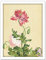 Fine Art Prints Castiglione Opium Mohnblumen-Gemälde, groß, gerahmt, Kunstdruck, Poster, Wanddekoration, 45,7 x 61 cm