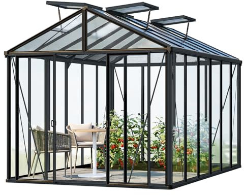 GFP Serre de Jardin Hera 6 Serre en Verre 263x388 cm | Structure en Aluminium Couleur Anthracite