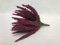 Kunstblume Erika Calluna Fuchsia auf Steckstab, künstliches Heidekraut, 28 cm, 24 Blütenstiele, Herbstblume