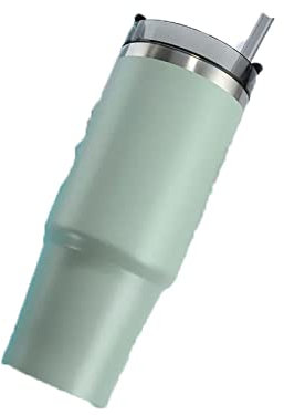 HGDXDP Insulated Cup Stainless Steel Coffee Mug Travel Water Cup Tumbler Cups Vacuum Beer Bottle(Green)