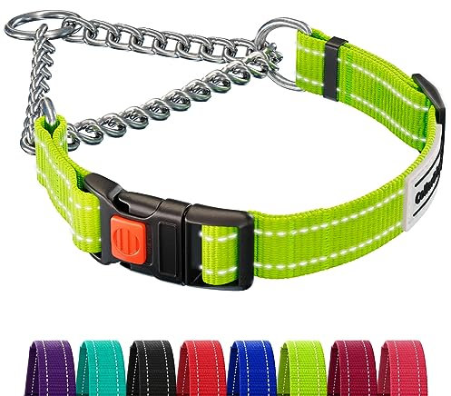 CollarDirect Reflektierendes Hundehalsband, Martingale-Halsbänder, seitliche Schnalle, Kette Training, verstellbare Haustier Halsbänder (Lindgrün, L, 41-54 cm)