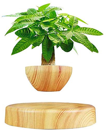 RANRANJJ Levitating Air Bonsai Pot - Magnetic Levitation Suspension Blumen und Luft Bonsai Pot