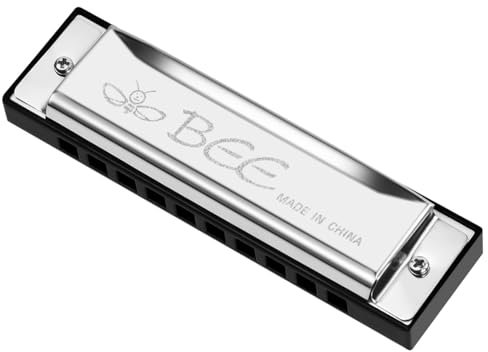 OFFCUP Harmonica Diatonique, 10 Trous Harmonica Blues, 20 tons Diatonique en Do, Harmonicas Jouet avec Sac de Rangement pour Débutants Enfants Étudiants Adultes Comme Meilleur Cadeau- Argent