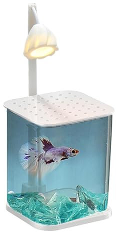 Verre Petit Aquarium Petit Bocal Poisson Starter avec Lumière LED pour Combattant Crevette Poisson Rouge Bureau Chambre Décor, Cadeau