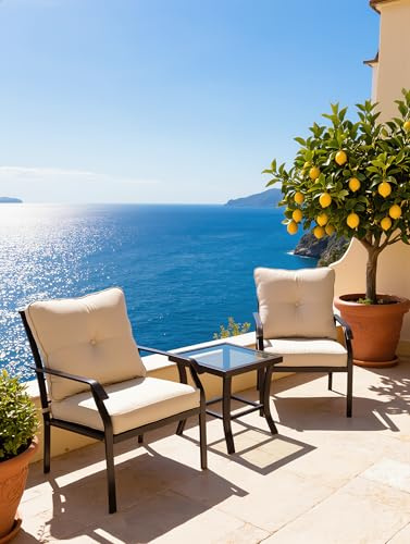 Cybert Set Bistro da Giardino 3 Pezzi BORA BORA – 2 Poltrone con Cuscini Beige + Tavolino Quadrato 50x50 cm Piano Vetro Temperato – Arredo Outdoor Balcone Terrazzo – Struttura Acciaio Marrone