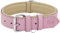 Riparo K-9 Collier pour Chien Robuste rembourré et réglable en Cuir véritable (Rose, S: 1,9 cm de Large pour 28 cm - 34,3 cm de Cou)