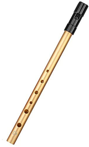 Ericetion D-Key Irish Whistle Flöte, 6-Loch-Aluminium-legierungsinstrument Für Anfänger Und Profis
