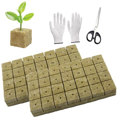 WANYI 72 Stück Steinwolle Anzucht, Rockwool Cube, Steinwolle Dämmung, Steinwolle Grow Anzucht Anzuchtmatte mit Schere Handschuhe für Bodenlos Anbau Hydrokultur Umpflanzen