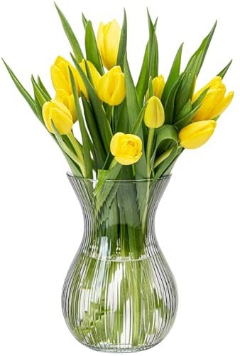 KONZEPT Florero de cristal de 18 cm de alto, 11 cm, jarrón para tulipanes transparente, apto para lavavajillas, pequeño jarrón para decoración de mesa en bodas y fiestas