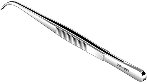 Pinzas de disección curvas Euromex de 150 mm