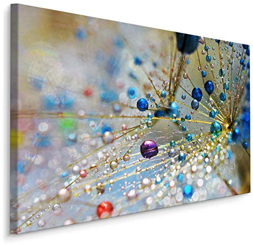 Muralo Wandbilder Blumen 90 x 60cm Bild auf Leinwand Wandbild Kunstdruck Pusteblume Wassertropfen Leinwandbilder Schlafzimmer Wohnzimmer Wanddekoration Design Wand Bild Natur Landschaft