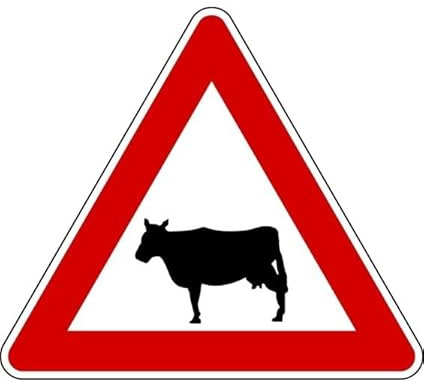 CARTELLO IN LAMIERA SCATOLATA TRIANGOLO lato 90cm - pericolo animali domestici - SEGNALE CATARIFRAGENTE CLASSE 1 O 2 (a nido d'ape) (CARTELLO CLASSE 1)